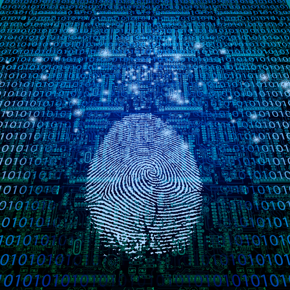 Your Data Management System will take into account three key components